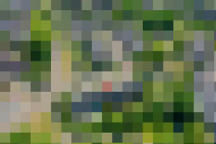 Varenmeent 6 Hilversum thumbnail 36