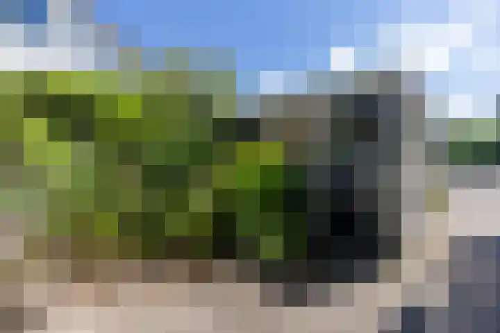 Varenmeent 6 Hilversum thumbnail 5
