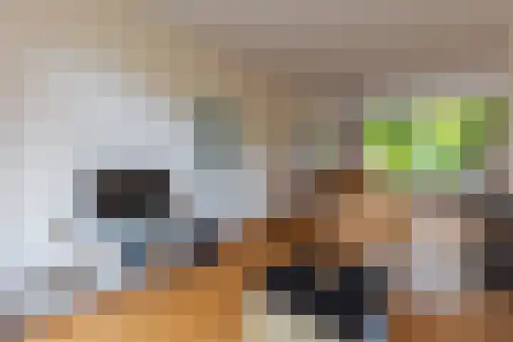 Varenmeent 6 Hilversum thumbnail 9