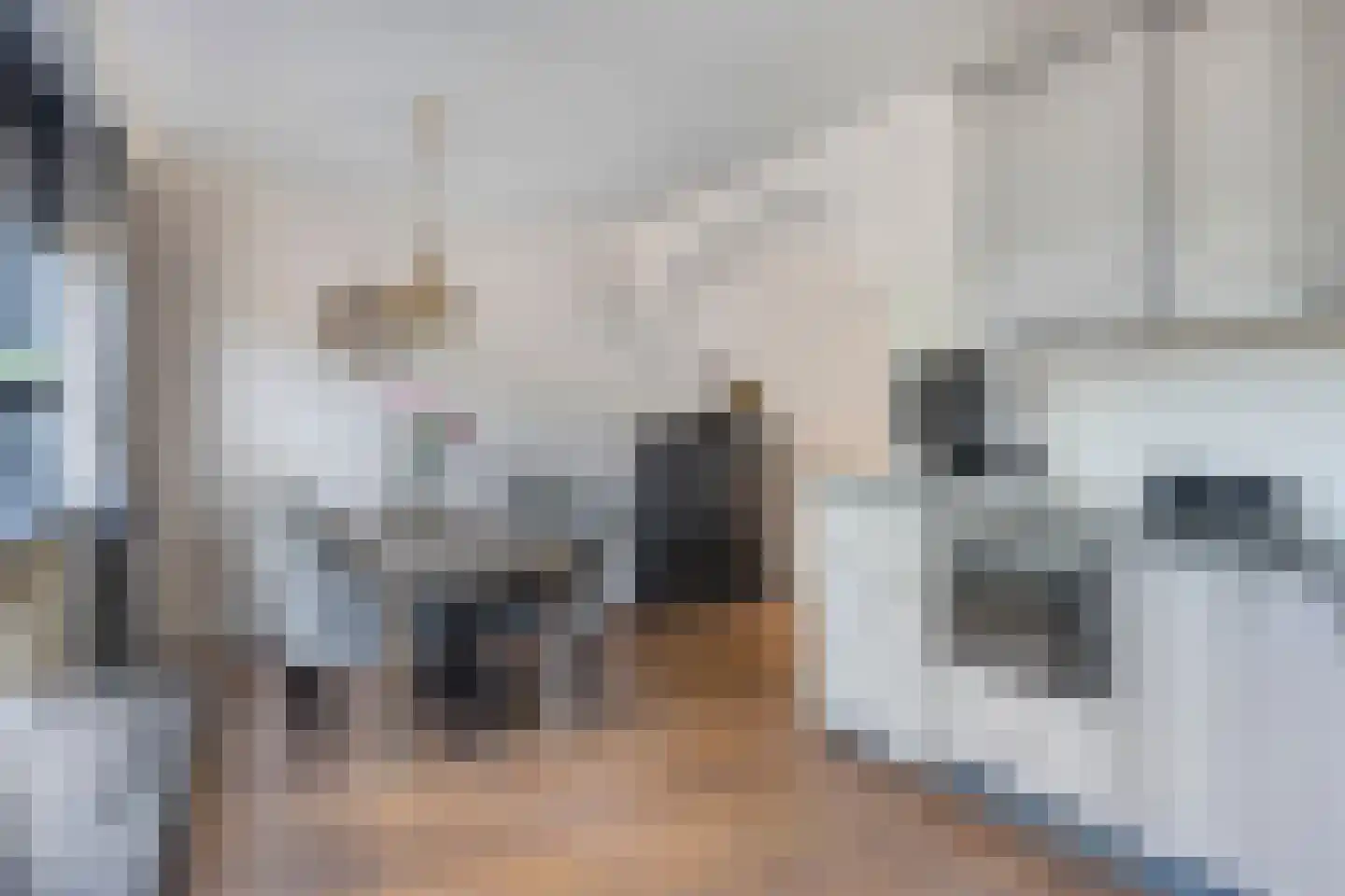 Varenmos 27 Veenendaal thumbnail 13