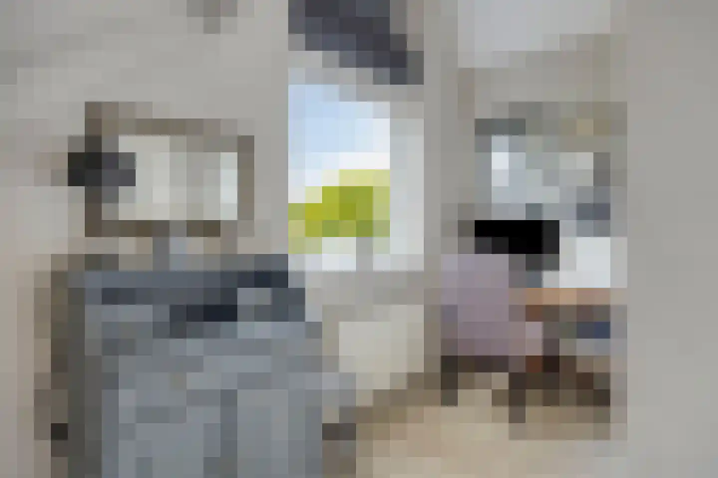 Varenmos 27 Veenendaal thumbnail 25