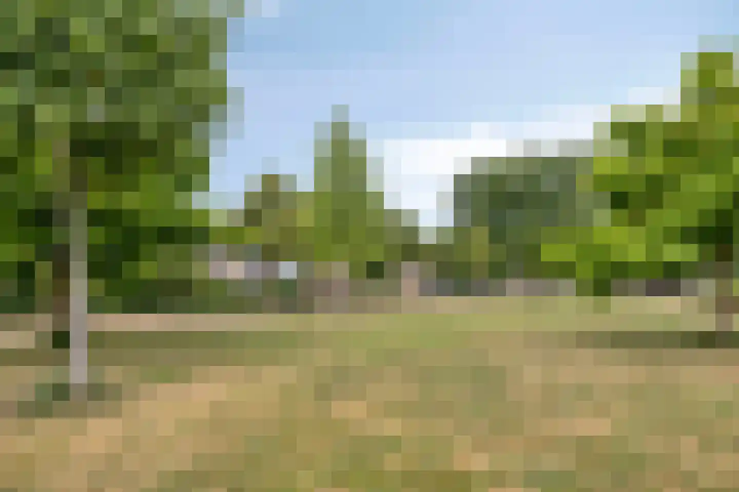 Varenmos 27 Veenendaal thumbnail 39