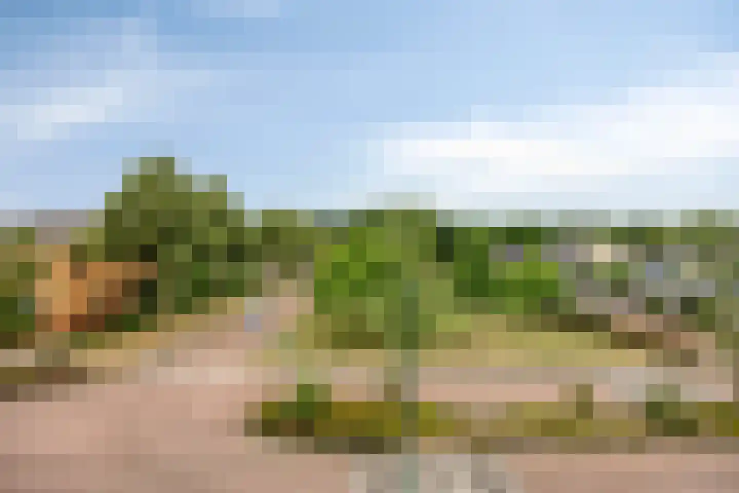 Varenmos 27 Veenendaal thumbnail 4