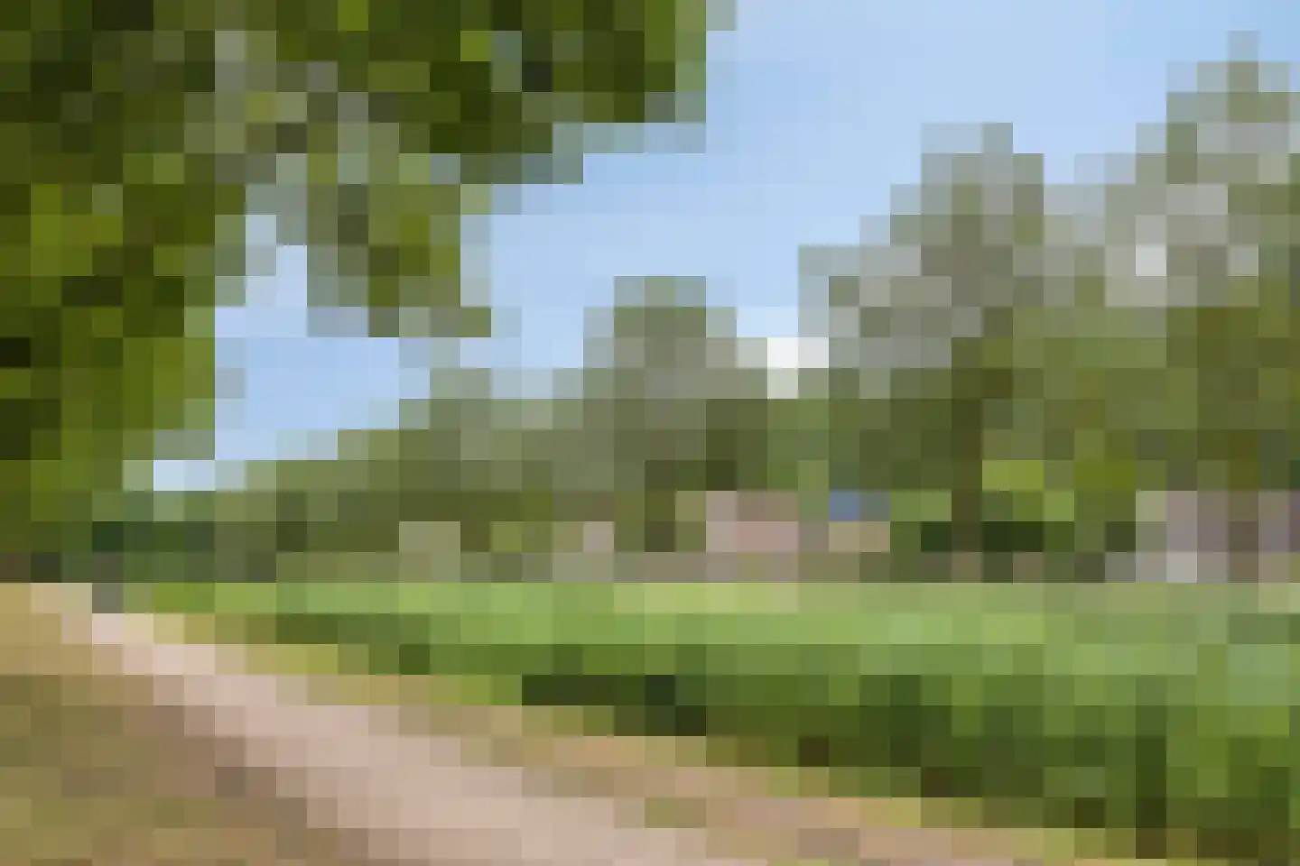 Varenmos 27 Veenendaal thumbnail 40