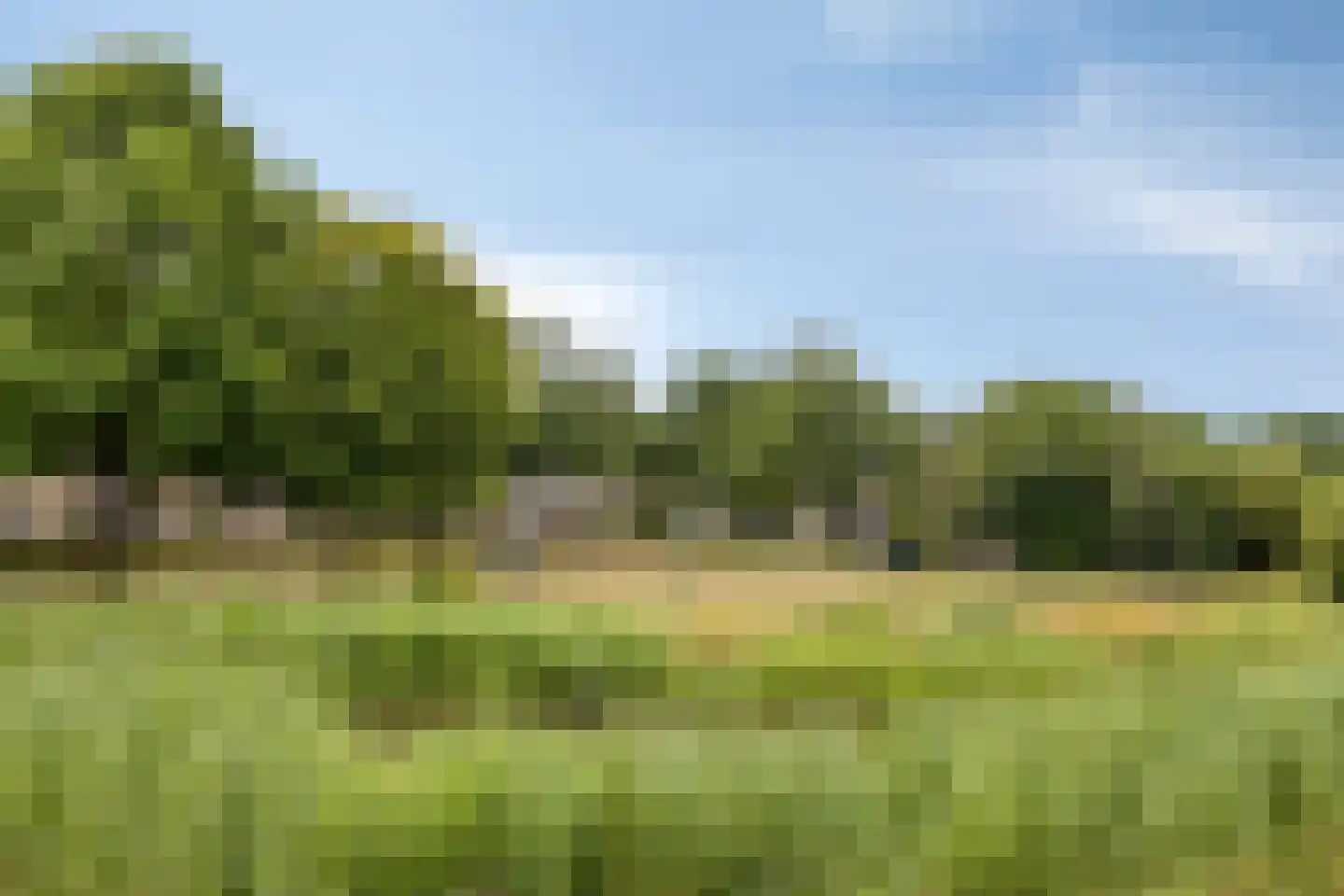 Varenmos 27 Veenendaal thumbnail 41