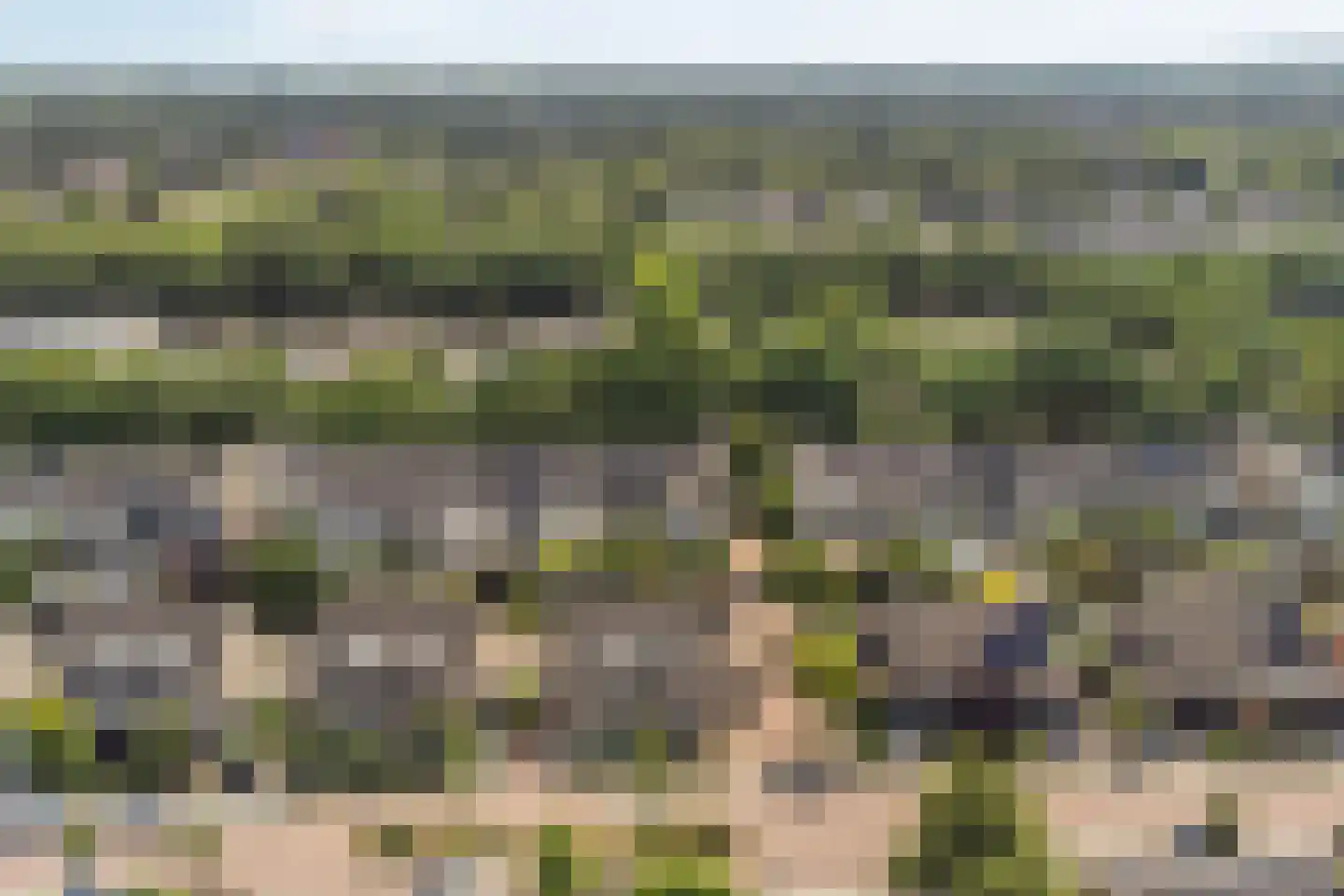 Varenmos 27 Veenendaal thumbnail 42