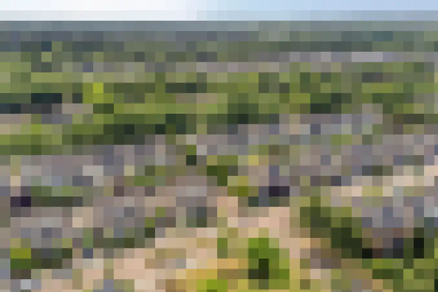 Varenmos 27 Veenendaal thumbnail 43
