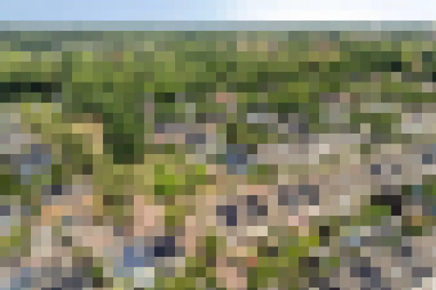 Varenmos 27 Veenendaal thumbnail 44