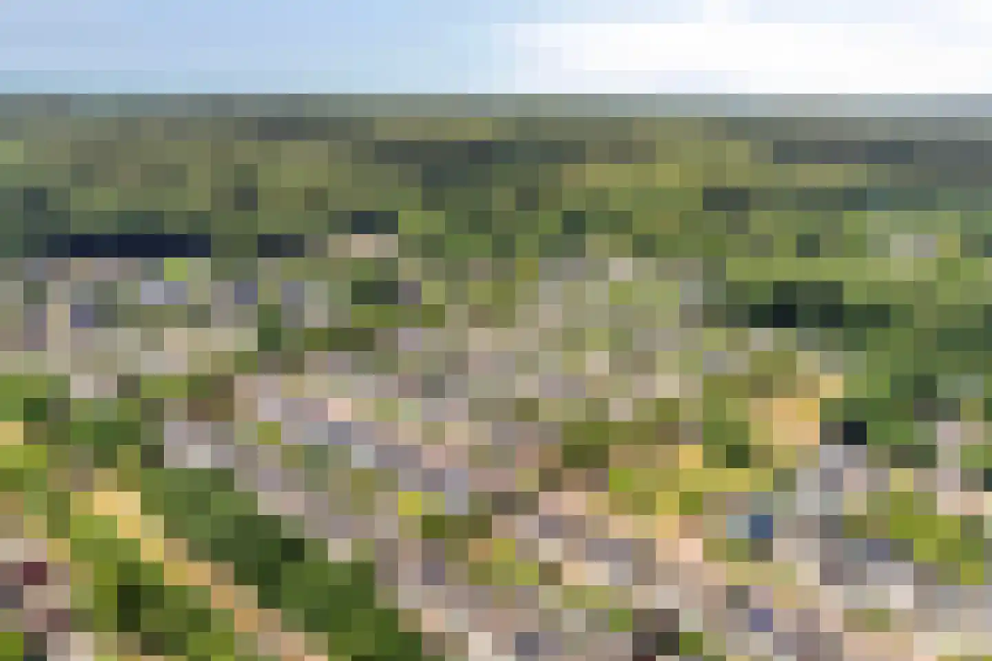 Varenmos 27 Veenendaal thumbnail 5