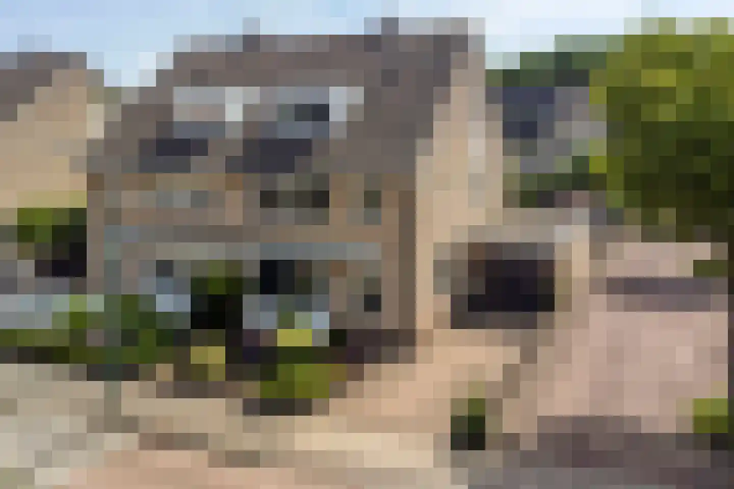 Varenmos 27 Veenendaal thumbnail 6