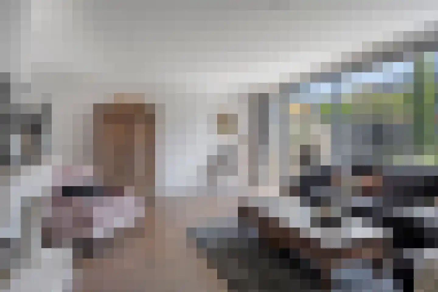 Varenmos 27 Veenendaal thumbnail 9