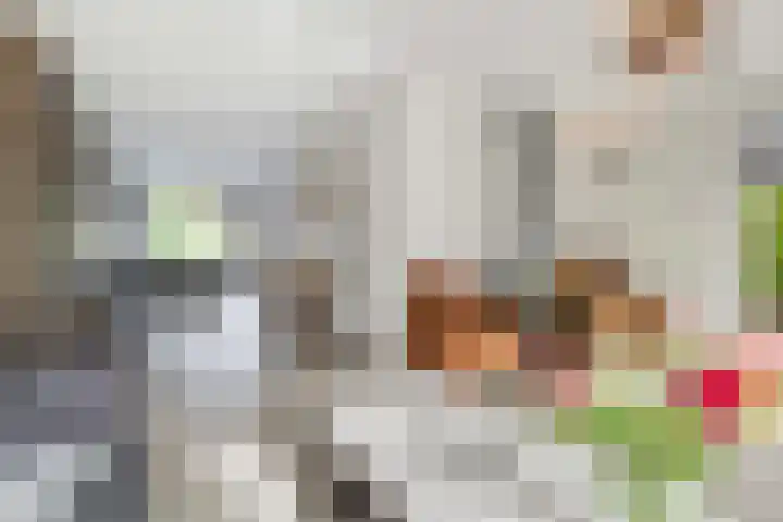 Varenmos 4 Veenendaal thumbnail 10