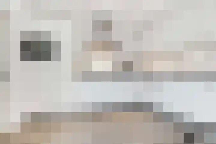 Varenmos 4 Veenendaal thumbnail 13