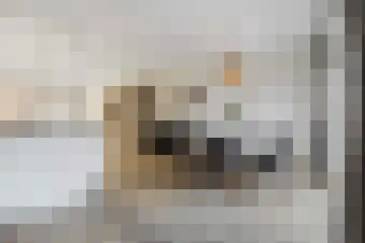 Varenmos 4 Veenendaal thumbnail 15