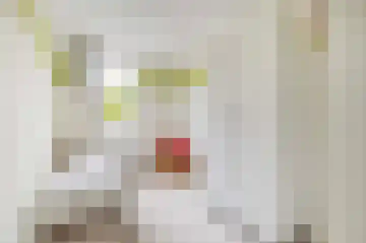 Varenmos 4 Veenendaal thumbnail 22