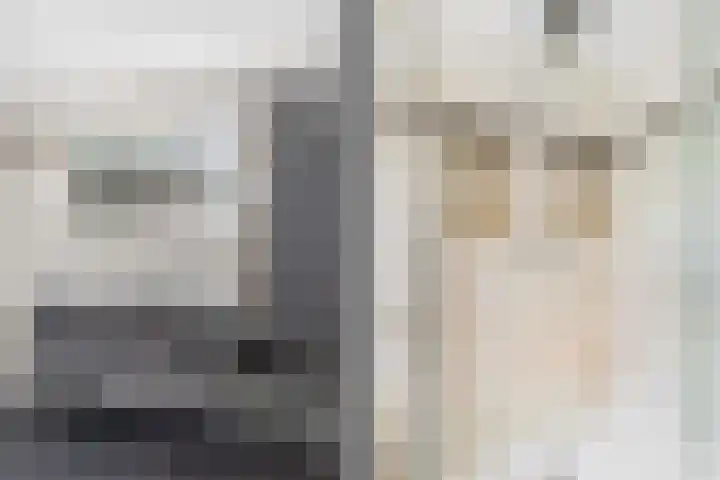 Varenmos 4 Veenendaal thumbnail 25