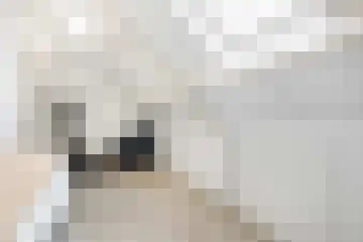 Varenmos 4 Veenendaal thumbnail 30