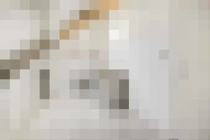Varenmos 4 Veenendaal thumbnail 31