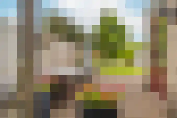 Varenmos 4 Veenendaal thumbnail 32