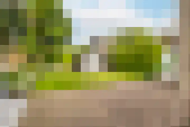 Varenmos 4 Veenendaal thumbnail 33