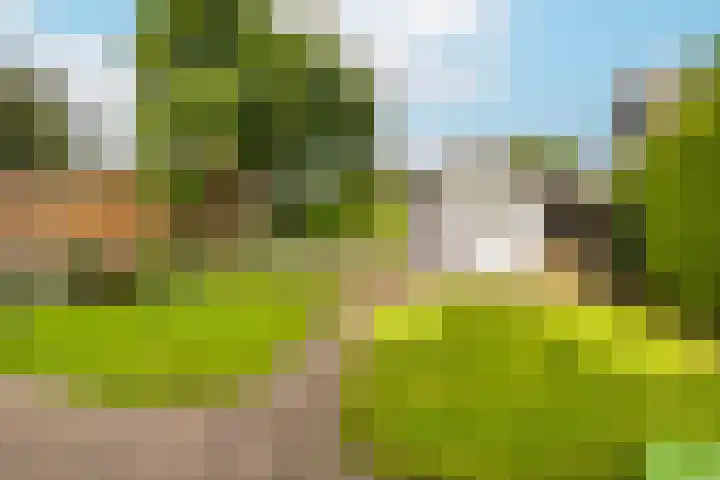 Varenmos 4 Veenendaal thumbnail 34
