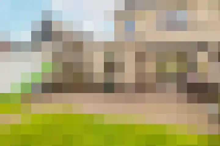 Varenmos 4 Veenendaal thumbnail 36