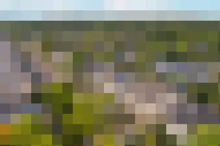 Varenmos 4 Veenendaal thumbnail 37