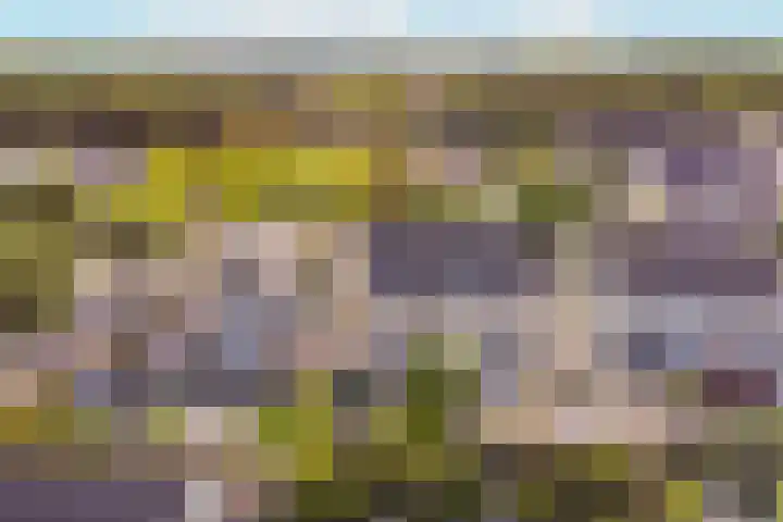 Varenmos 4 Veenendaal thumbnail 38
