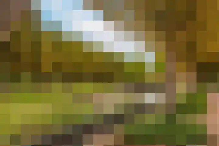 Varenmos 4 Veenendaal thumbnail 39