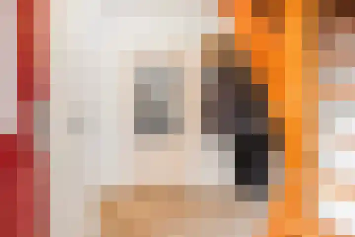 Varenmos 4 Veenendaal thumbnail 5