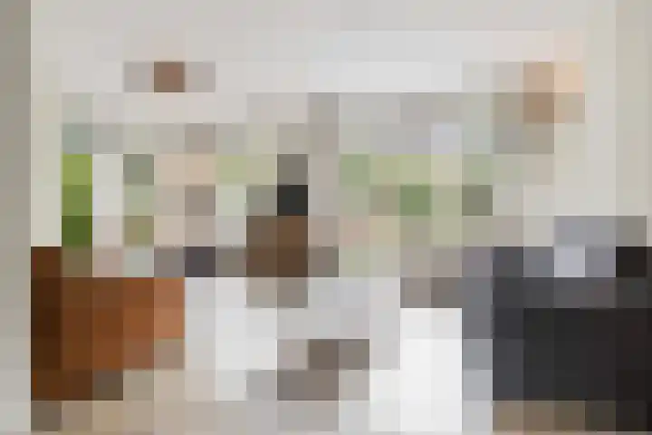 Varenmos 4 Veenendaal thumbnail 6
