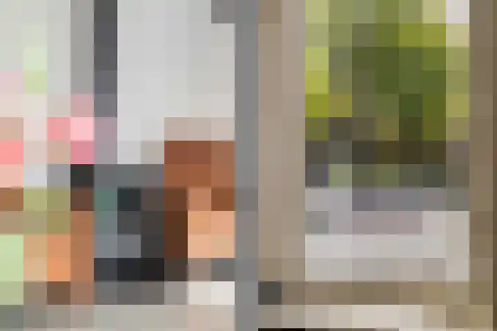 Varenmos 4 Veenendaal thumbnail 8