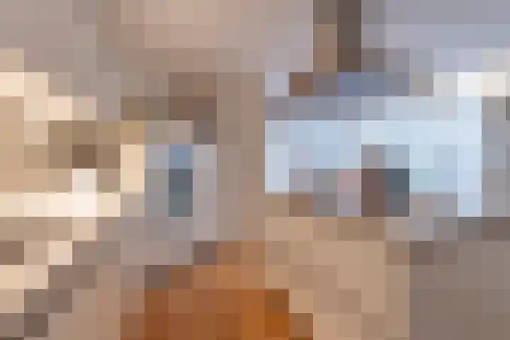 Varenmos 78 Veenendaal thumbnail 10