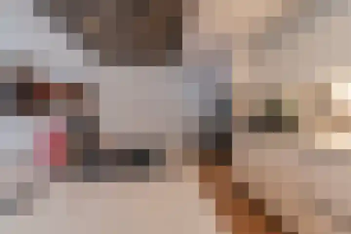 Varenmos 78 Veenendaal thumbnail 11