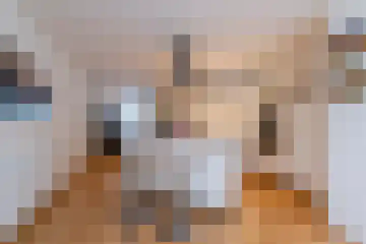 Varenmos 78 Veenendaal thumbnail 12