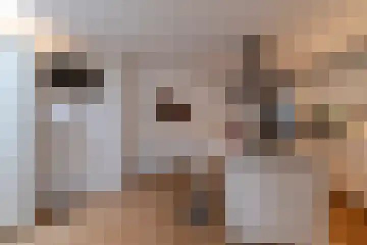 Varenmos 78 Veenendaal thumbnail 15