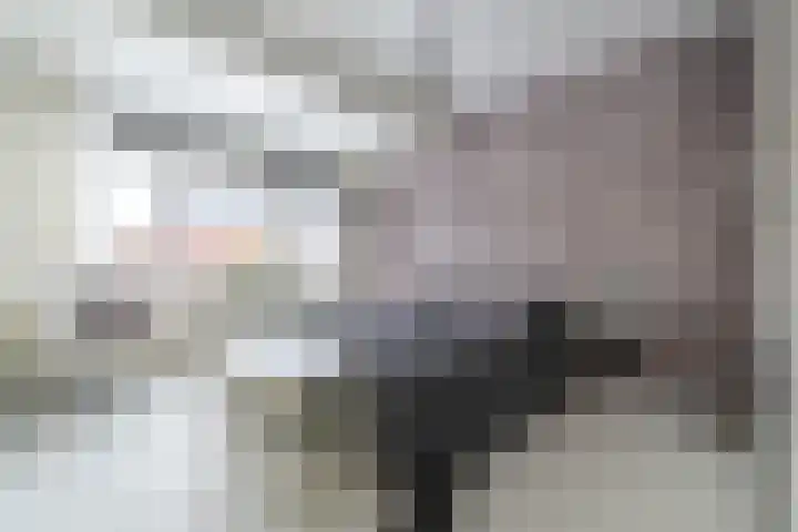 Varenmos 78 Veenendaal thumbnail 21