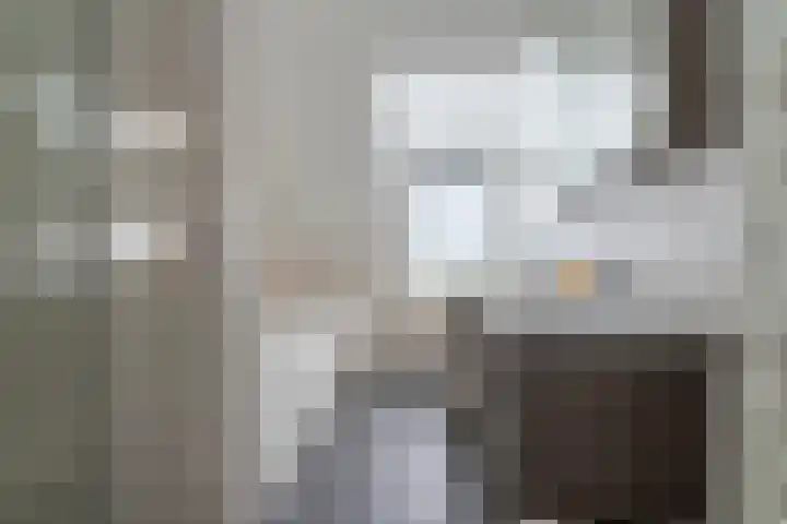 Varenmos 78 Veenendaal thumbnail 25