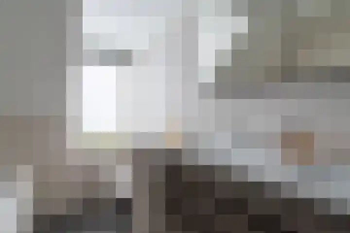 Varenmos 78 Veenendaal thumbnail 28