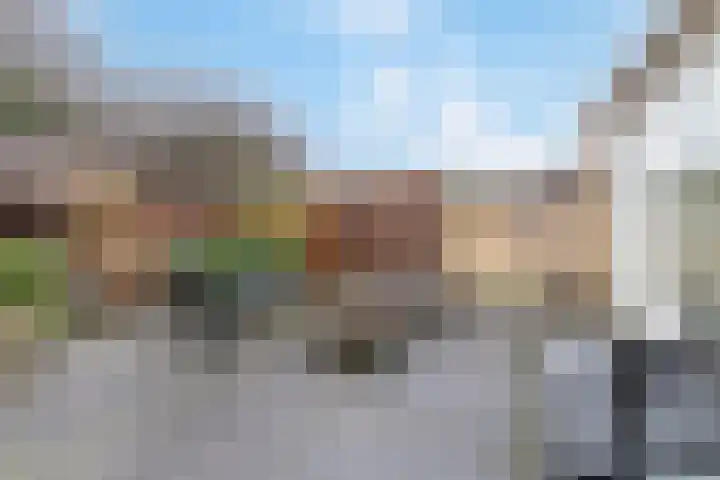 Varenmos 78 Veenendaal thumbnail 34