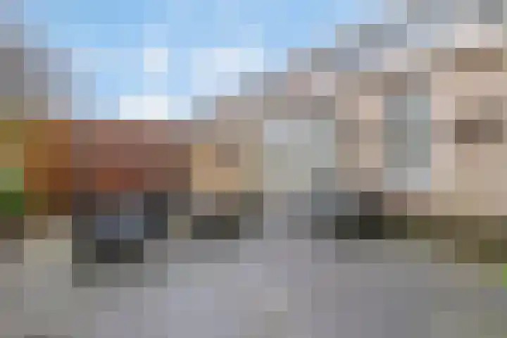 Varenmos 78 Veenendaal thumbnail 35