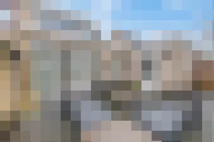 Varenmos 78 Veenendaal thumbnail 36