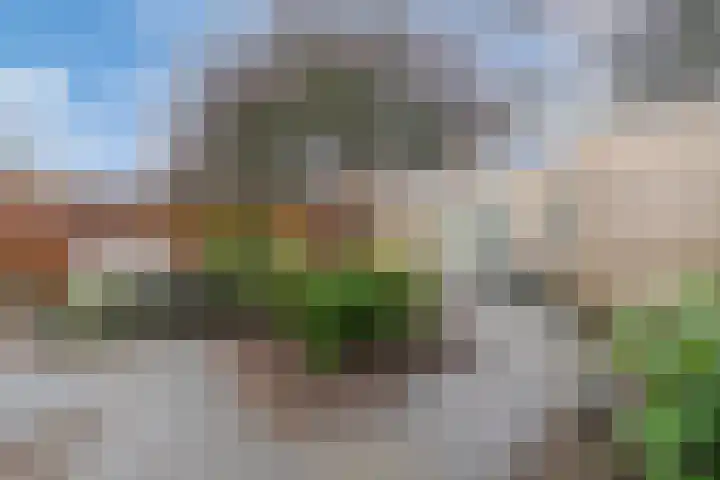 Varenmos 78 Veenendaal thumbnail 37
