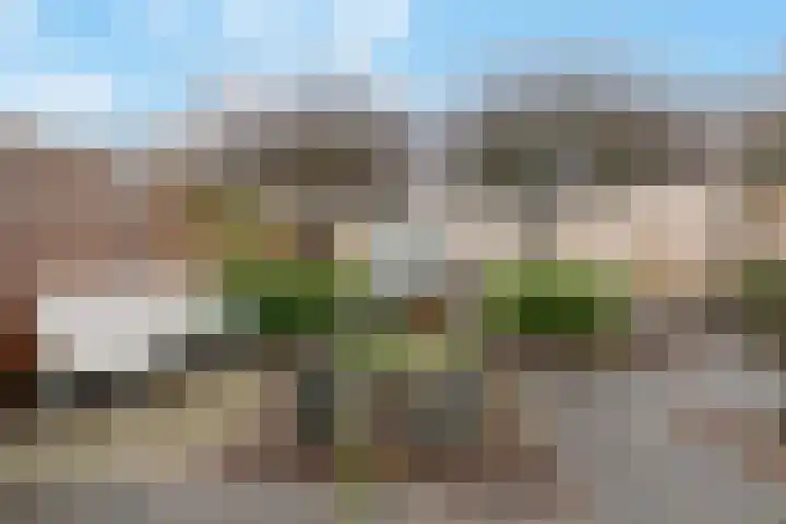 Varenmos 78 Veenendaal thumbnail 38