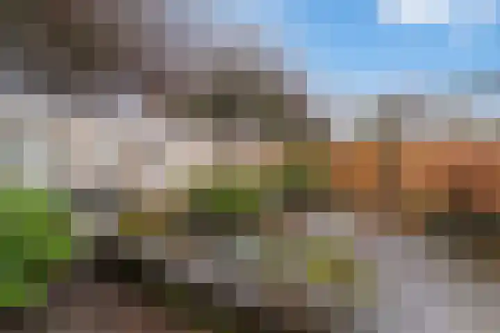 Varenmos 78 Veenendaal thumbnail 39