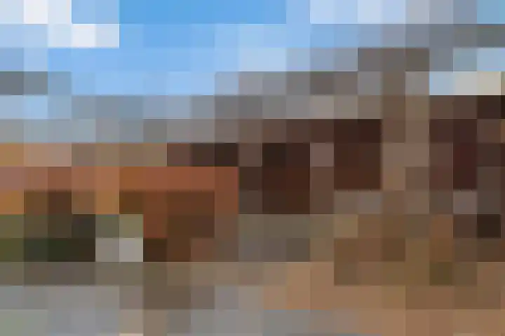 Varenmos 78 Veenendaal thumbnail 40