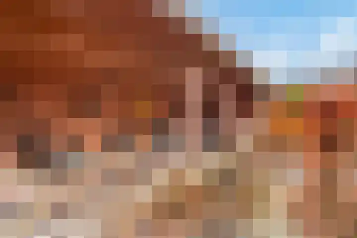 Varenmos 78 Veenendaal thumbnail 41