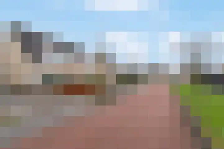 Varenmos 78 Veenendaal thumbnail 45