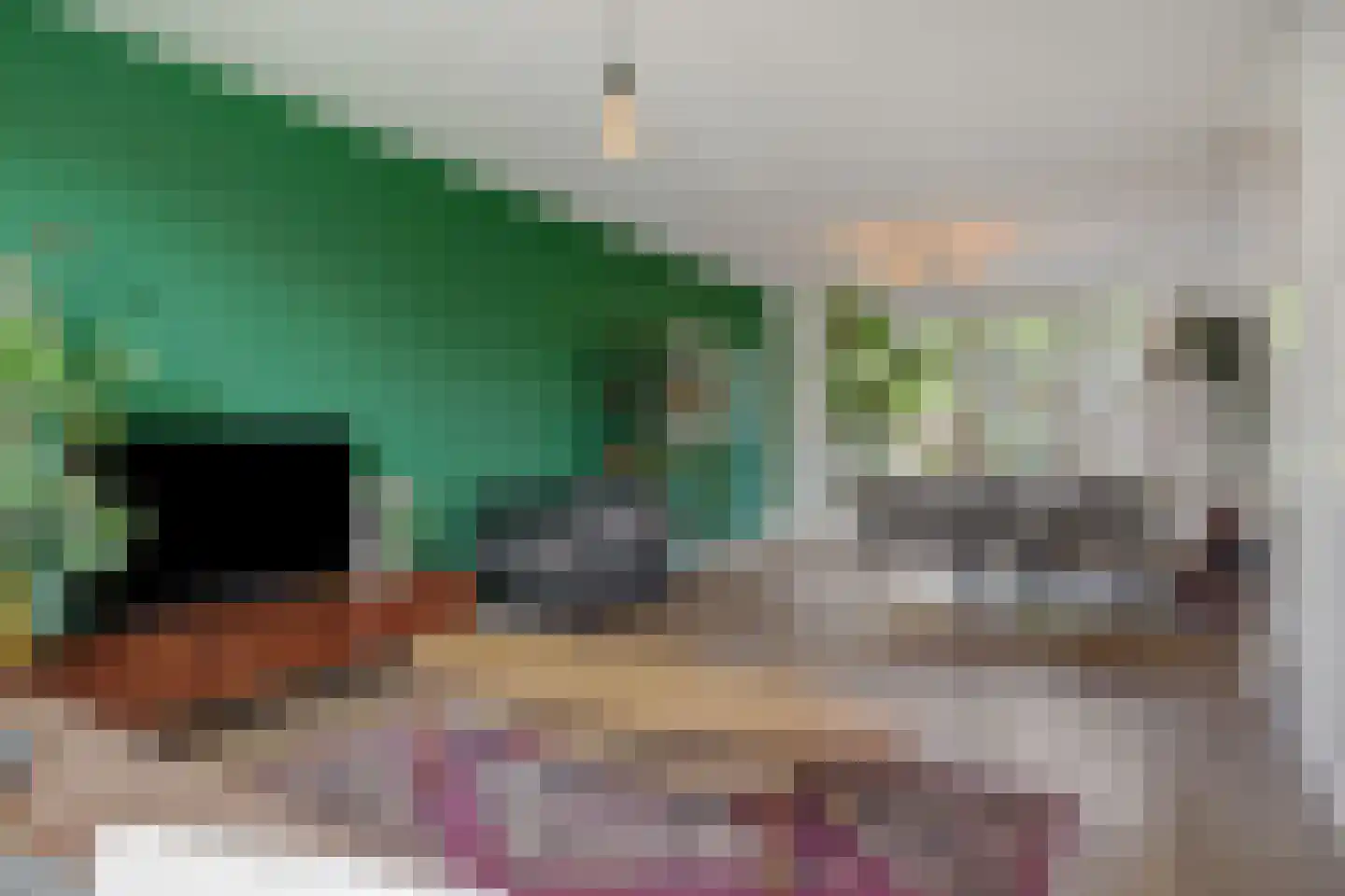 Varennadreef 7 Helmond thumbnail 11