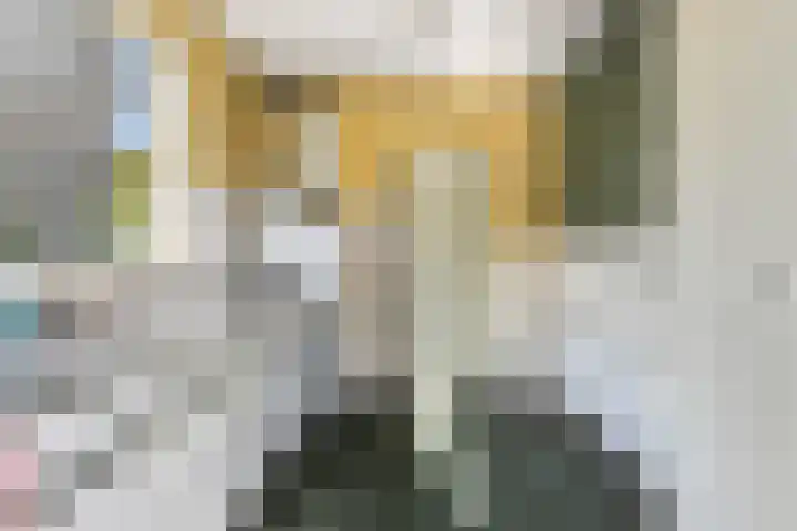 Varenstraat 23 Geldrop thumbnail 12